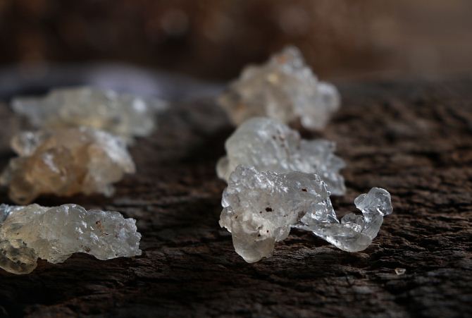 1537327033586222.jpg 截圖06.jpg