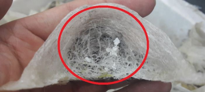 1537327050912665.jpg 截圖10.jpg