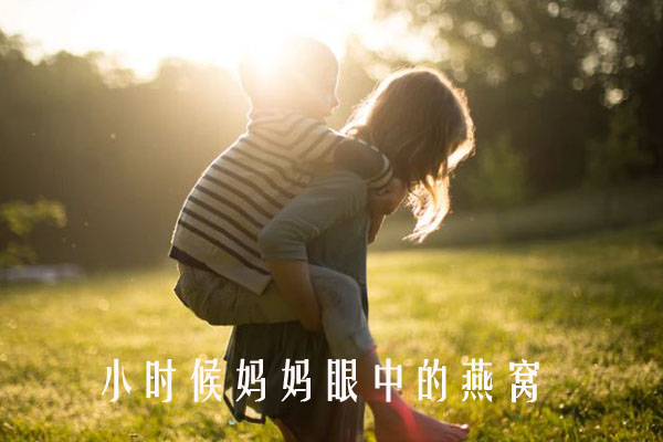 【燕窩潤肺】小時候，燕窩是媽媽舍不得吃的付出。（上）