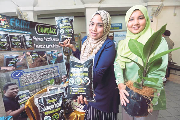 1543205205509583.jpg kacip01.jpg