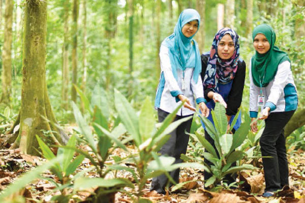 1543205222863752.jpg baka1.jpg