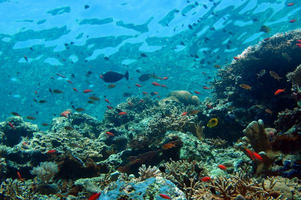 1543461353112096.jpg 截圖07.jpg