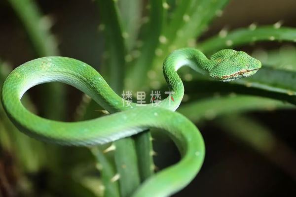 1545013860756117.jpg 1544788628635578.jpg