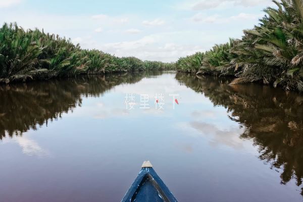 1545013887405435.jpg 1544788662520157.jpg