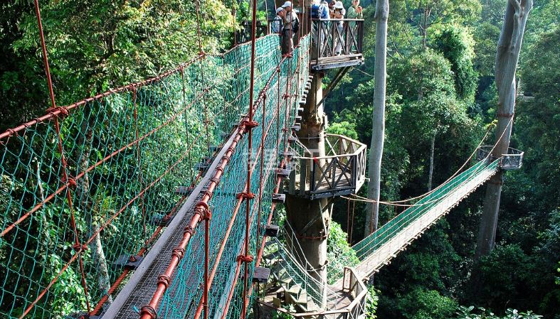 1545013919890991.jpg 1545013919890991.jpg