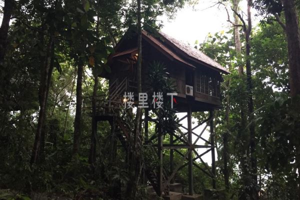 1545013928207517.jpg 1544788701824432.jpg