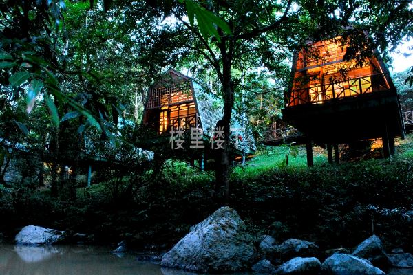 1545013966508706.jpg 1544788709588284.jpg