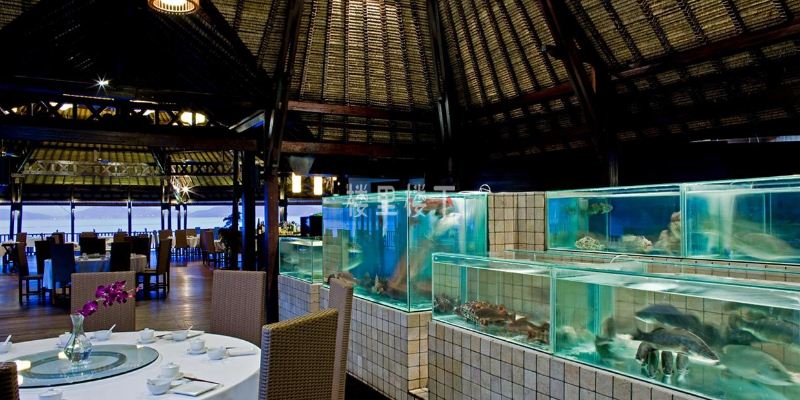 1545043041109074.jpg 截圖20.jpg