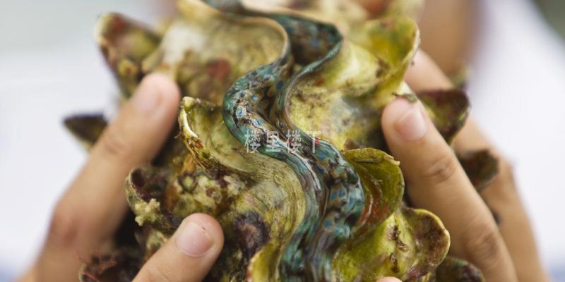 1545043144593530.jpg 截圖18.jpg