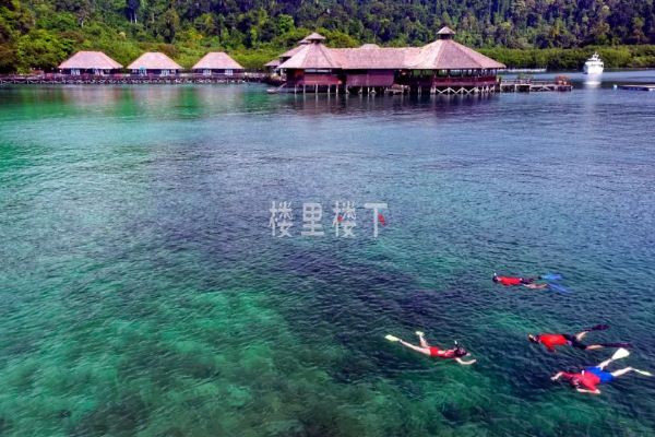 1545043207919290.jpg 截圖24.jpg