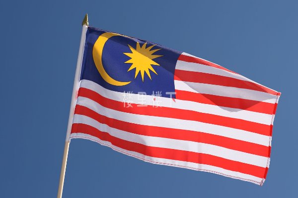 1550476154709879.jpg 截圖13.jpg