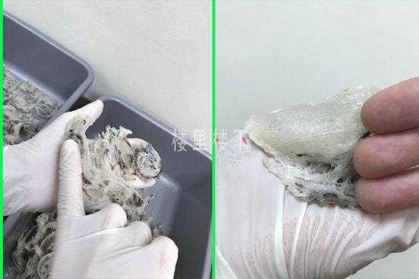 1560822935131668.jpg yzyanwo.jpg