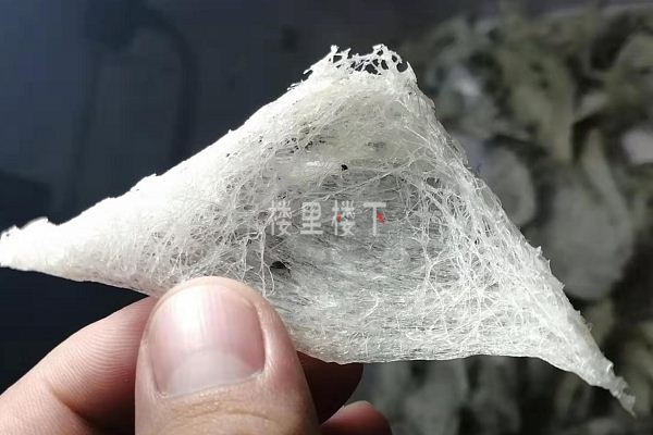 1579746557672373.jpg 截圖01.jpg