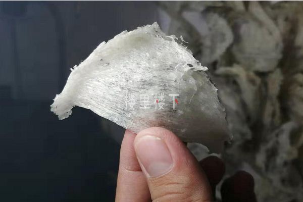 1579746562143642.jpg 截圖00.jpg