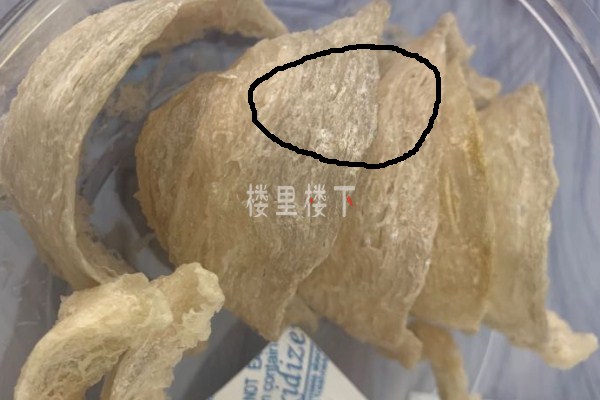 1588214306317525.jpg 截圖31.jpg