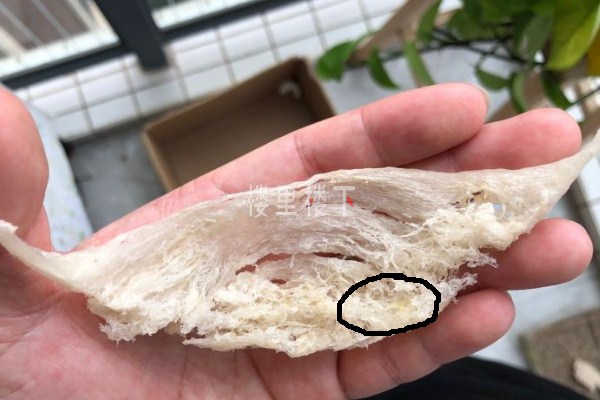 1588214315962921.jpg 截圖32.jpg