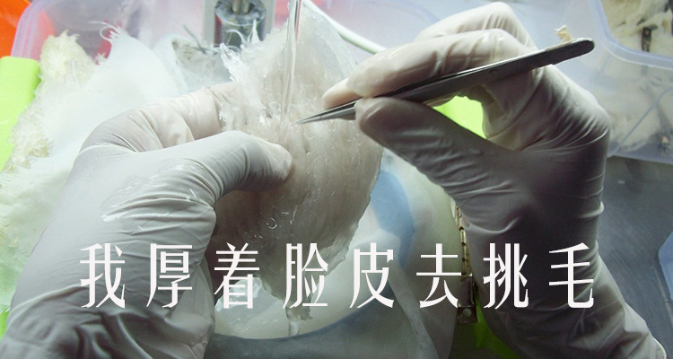 1606055155558273.jpg 挑毛.jpg