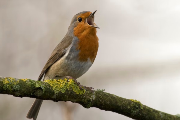 1652403330781835.jpg 截圖25.jpg