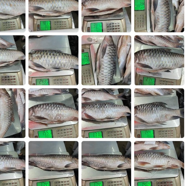 1652698481662932.jpg 2022-05-14_12-47-47.jpg