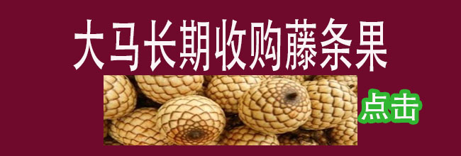 【緊俏資源】人在大馬探知優質資源投資持有轉售