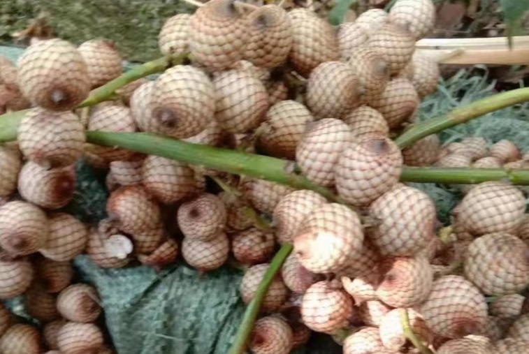 1696568274845316.jpg 截圖05.jpg