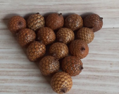 1696568288405159.jpg 截圖08.jpg