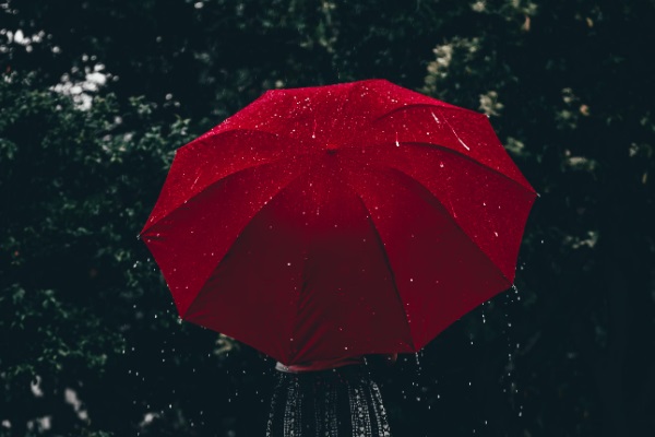 1703478285868452.jpg 截圖00.jpg